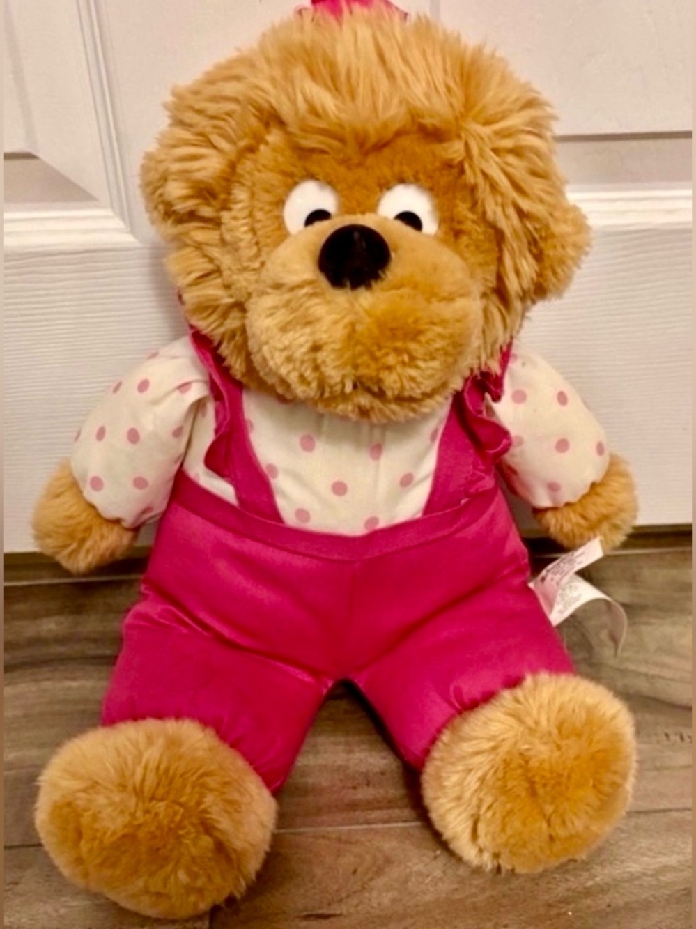 BERENSTAIN BEARS - SISTER BEAR - VINTAGE 1997